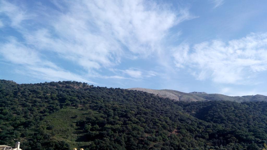 Apartamento El Serrano Benaojan Bagian luar foto