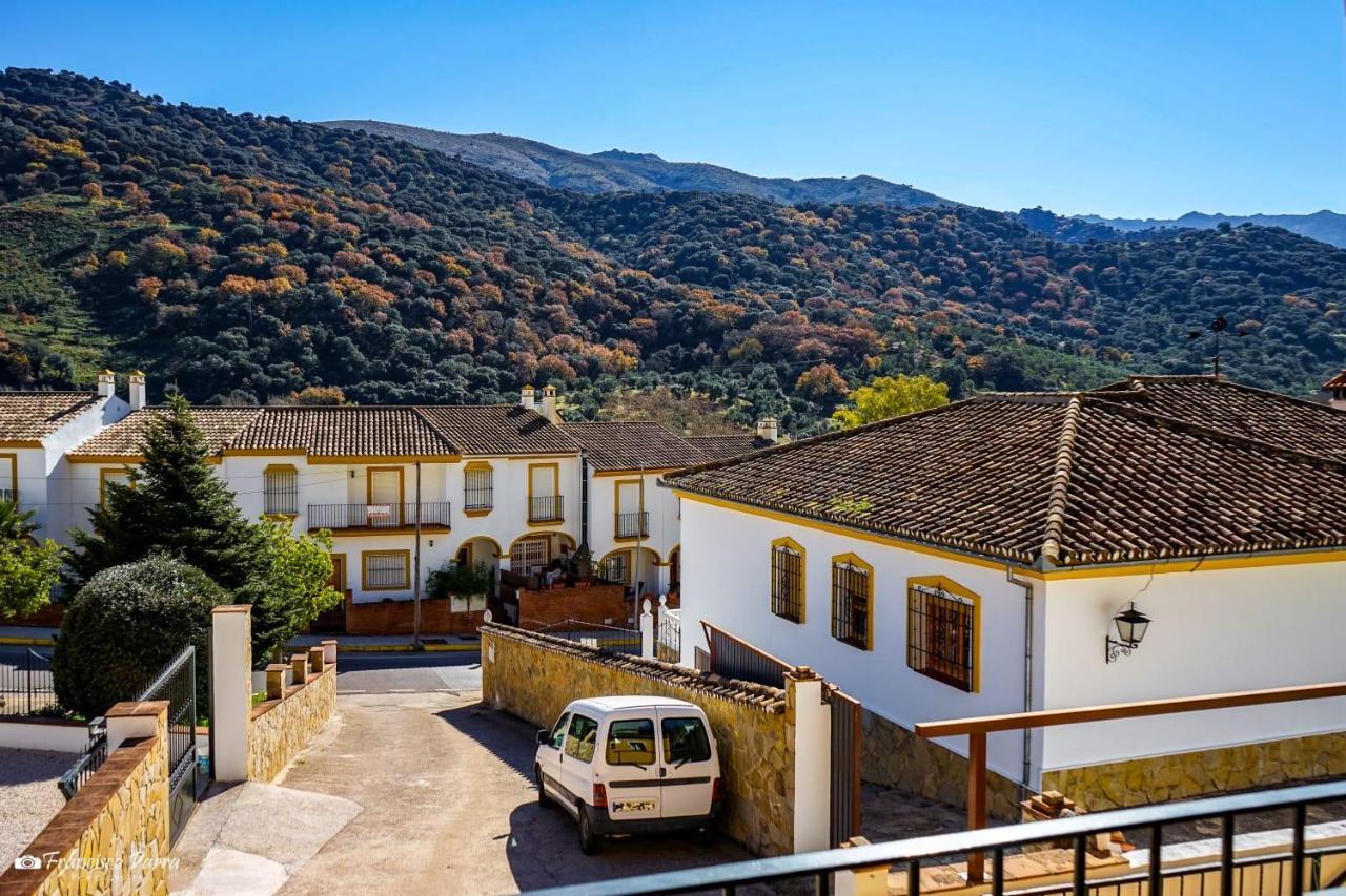 Apartamento El Serrano Benaojan Bagian luar foto